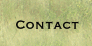 Contact.